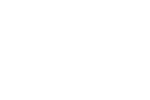 Fields of SoftPOS application